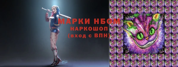 хмурый Киренск